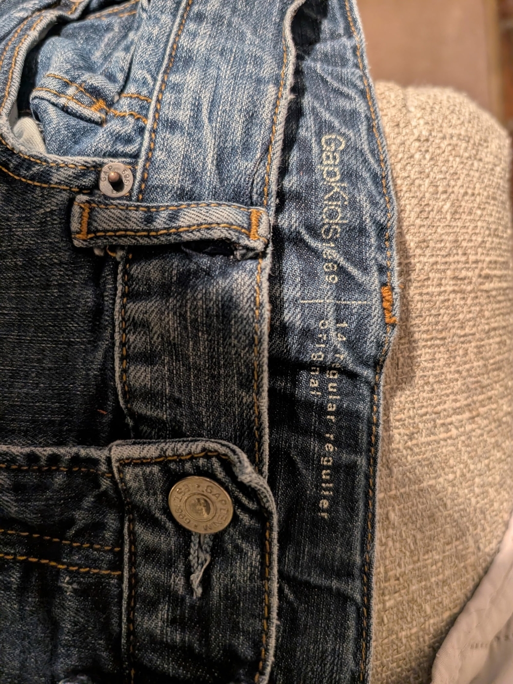 GapKids Boy's Regular Fit Jeans (2 Pair)